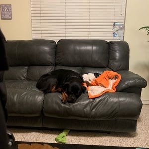 Meet your Posher, Jodi